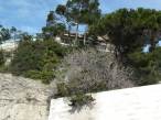  terrasses dans la verdure